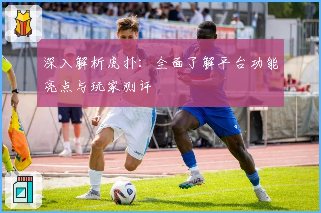 深入解析虎扑：全面了解平台功能亮点与玩家测评