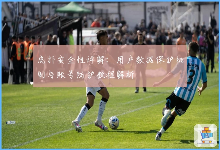 虎扑安全性详解：用户数据保护机制与账号防护教程解析